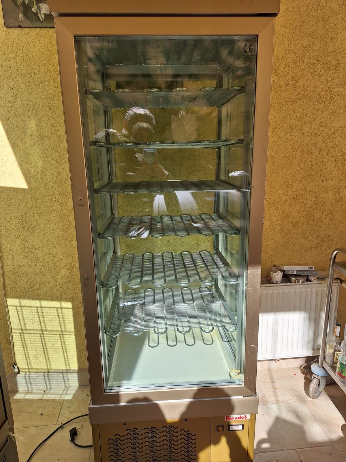 Congelator(vitrina frigorifică)
