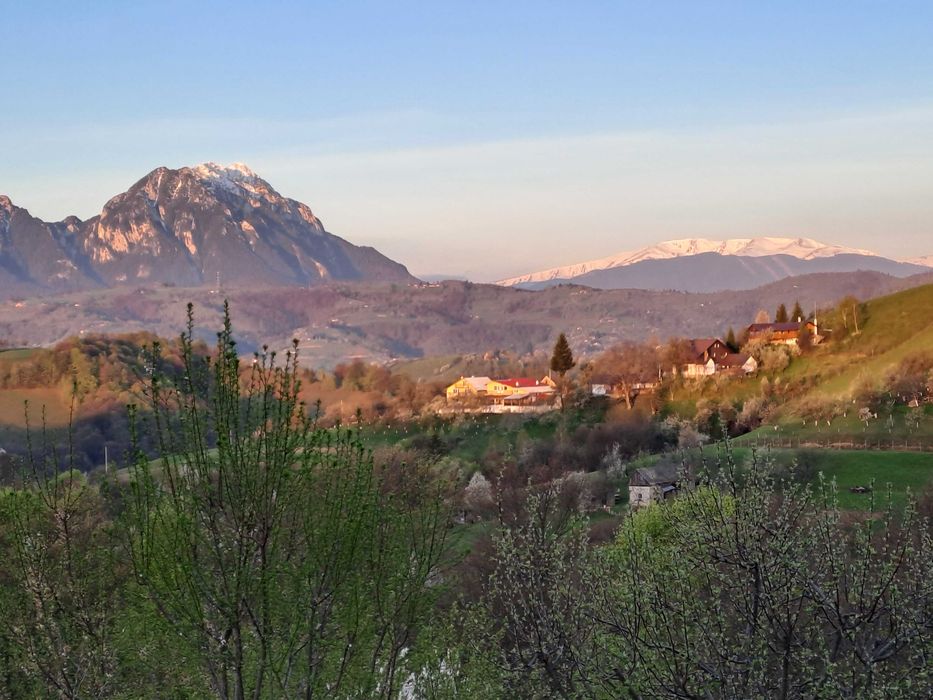 Cabana cu ciubar(11 dormitoare)LIBER CRACIUN