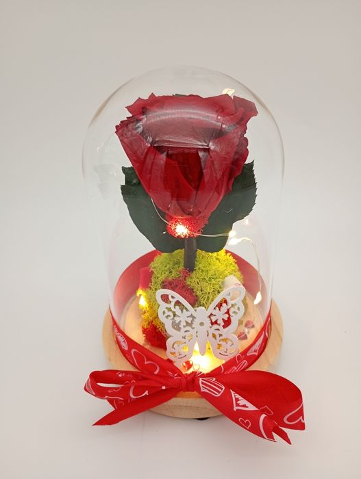 Trandafiri criogenati in cupola de sticla cu leduri cadoul perfect