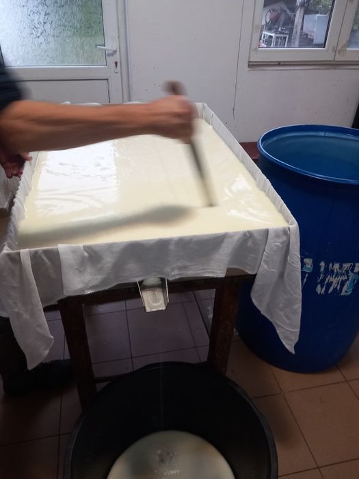 Telemea și cas de capra