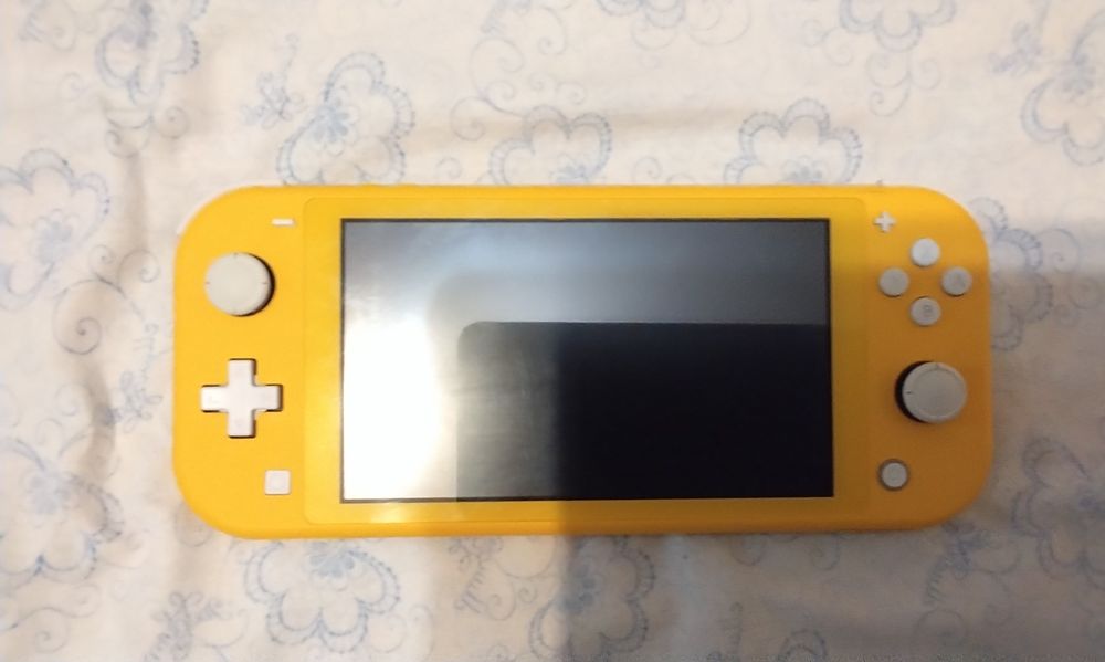 Nintendo switch lite
