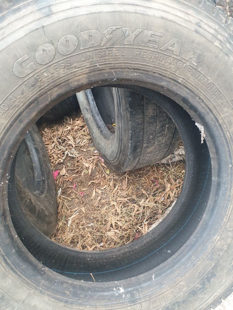 Шины на тралл 215/75 R17.5