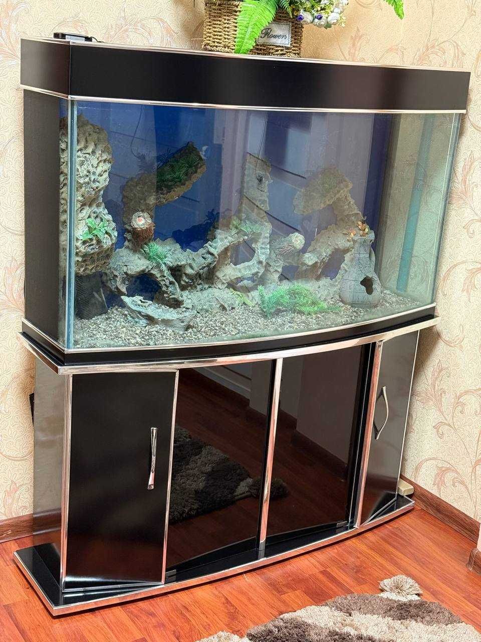 Akvarium noviy bu