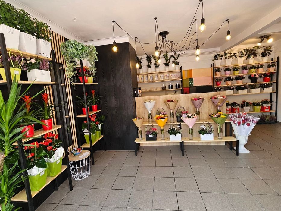 Vand afacere la cheie locație Cavnic, jud. MM