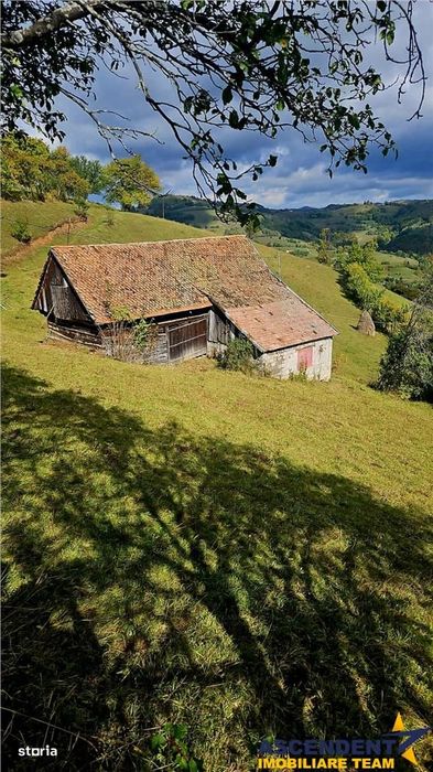 10.335 mp + imobil, splendoare si regasire in mijlocul naturii, Poiana