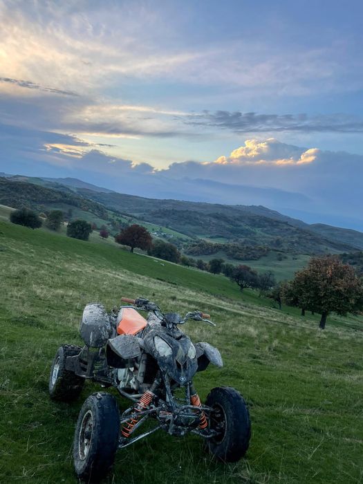 Polaris Predator 500 Quad, editia Troy Lee