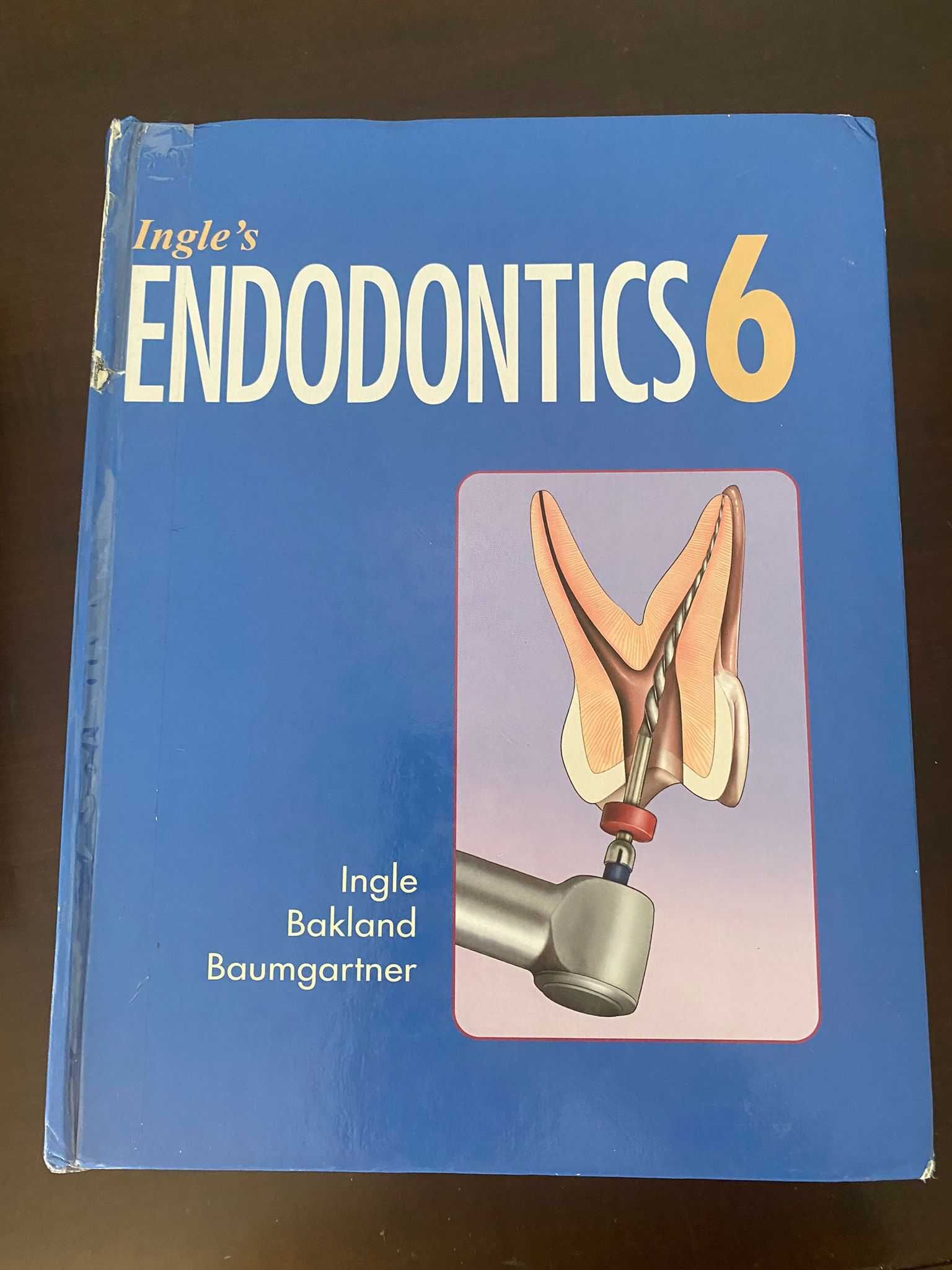 Ingle Endodontics 6th