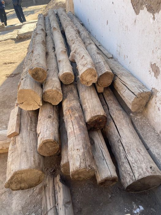 Агашлар сатылады