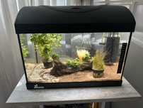 Acvariu complet 25L – cu pești, plante, filtru, suport și accesorii