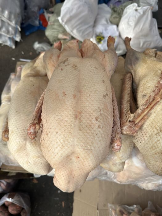 Домашняя продукция Гуси Утки Куры