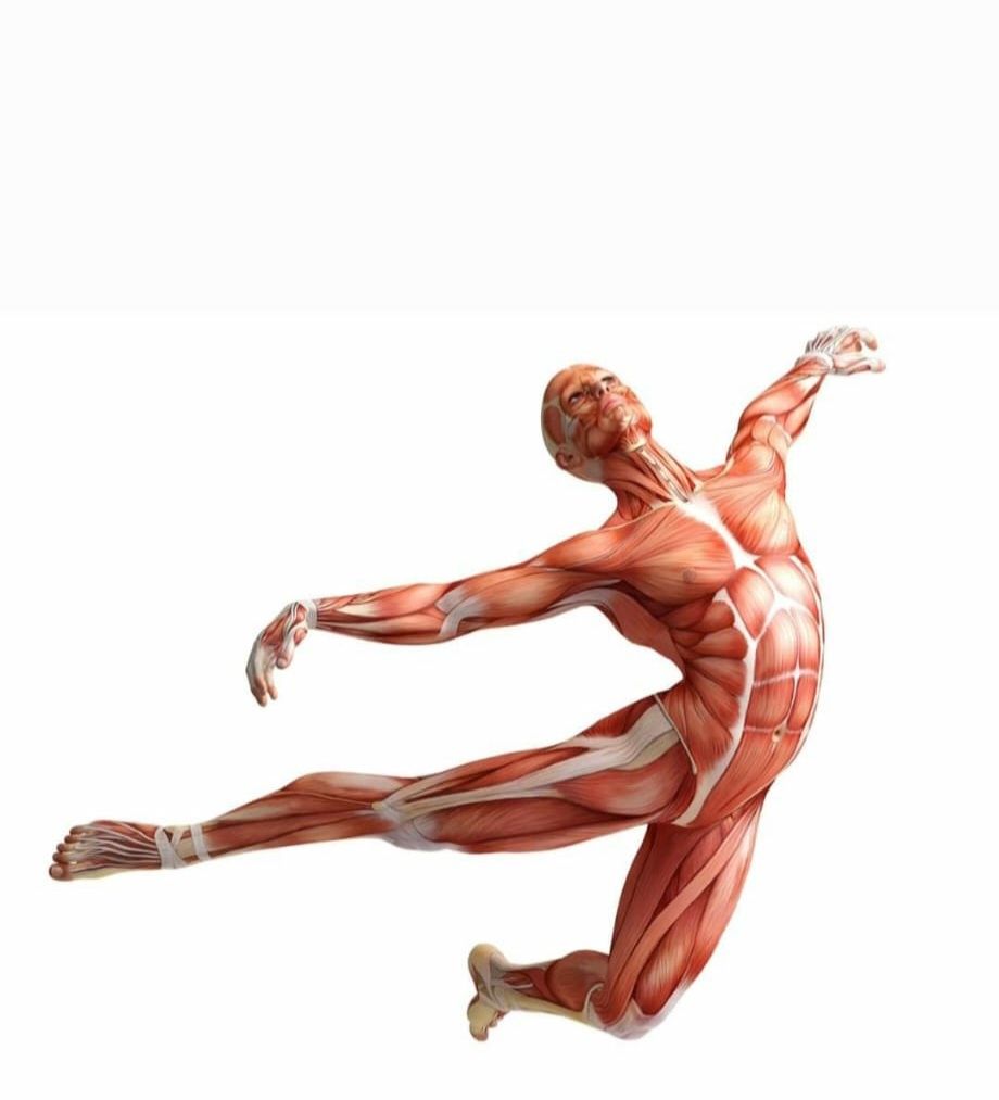 Masaj terapeutic