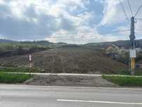 Teren Intravilan Intrare Tomesti 4950mp, AC, Acces DN28