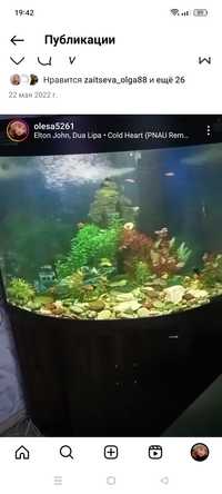 Продам аквариум большой угловой 250 литров с рыбками СРОЧНО