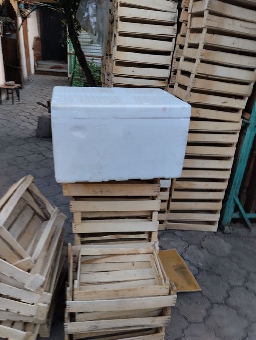 Продам ящики пенопласт