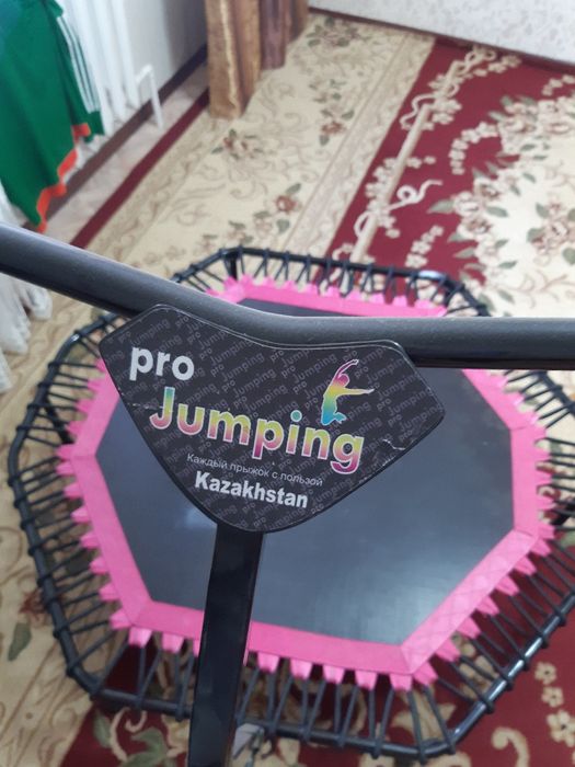 Батут Pro Jamping