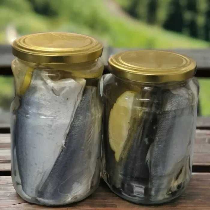Морска Риба / Марината , Веян и Студено Пушен Паламуд , Сафрид ,Зарган