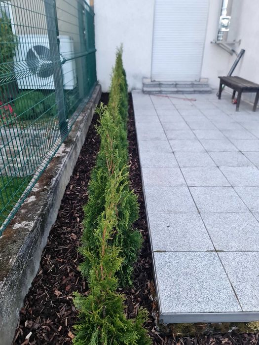 Gradina ta prioritatea noastra ! Ajutor in gradina!