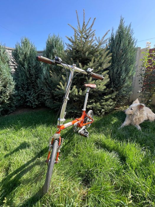 Bicicleta pliabila Pegas Teoretic