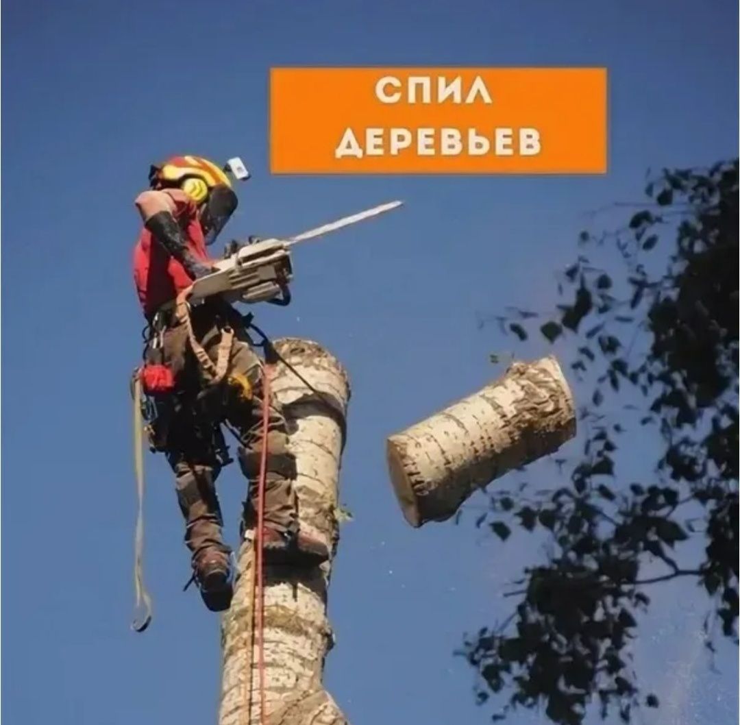 Спил деревьев Усть-Каменогорск