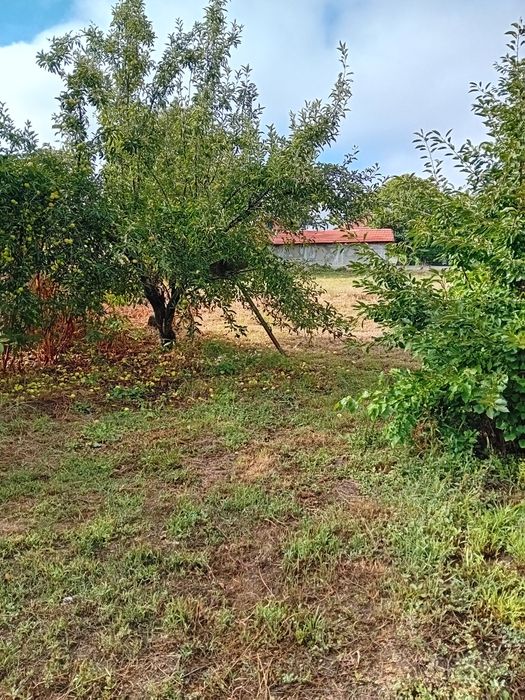 Продава се Парцел в с. Петково, Област София-област - 700 кв.м за 89 €/кв.м - Снимка #1