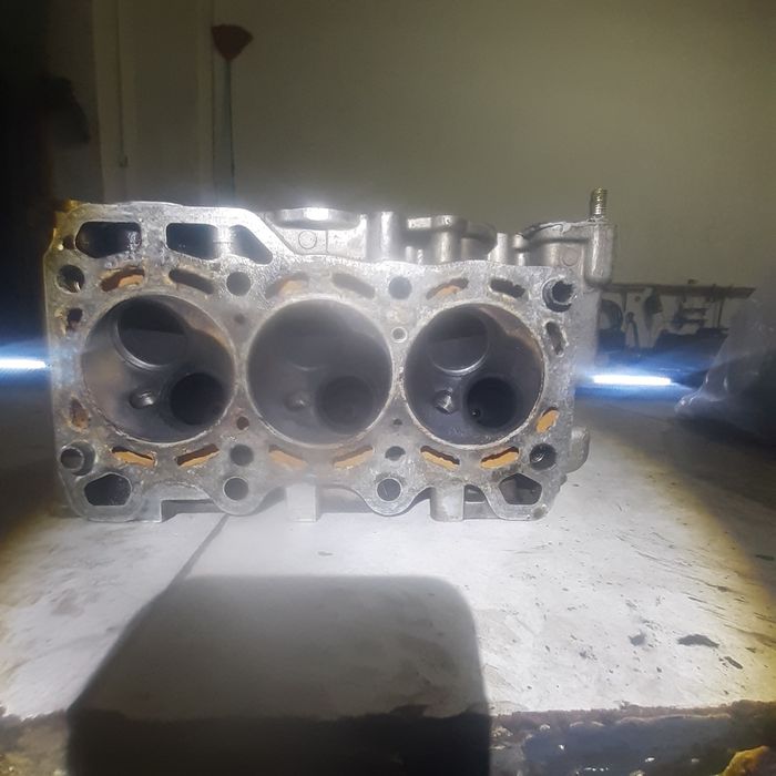 Damas galofka korea arginal