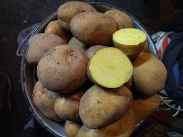 Картофель картошка доставка