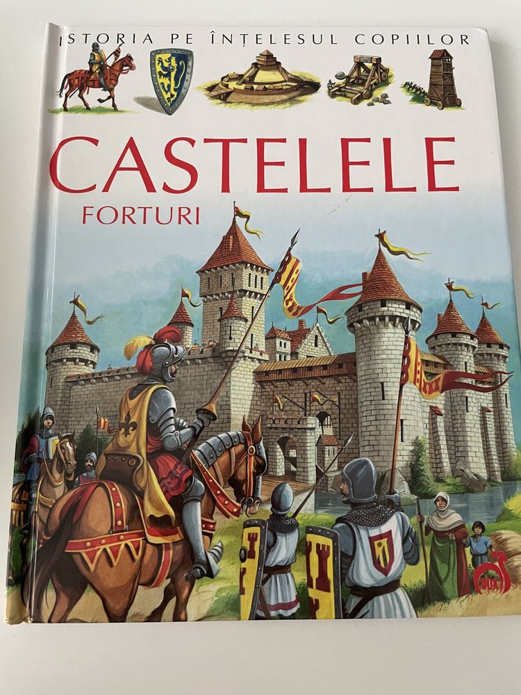 Carte Castele forturi