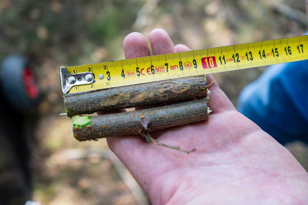 Tocator crengi casa gradina RS60 - PROMO BLACK FRIDAY -10%