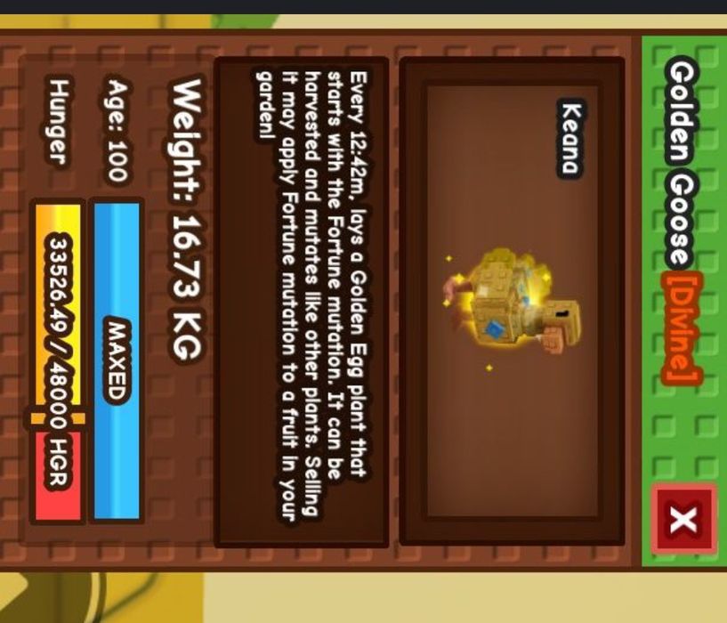 Disco bee и Golden goose