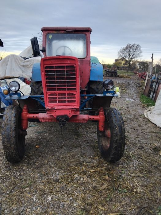 De vânzare Belarus de 55