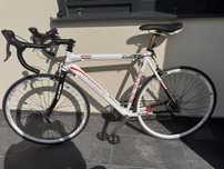 KCP RUN 2.0 Cursiera