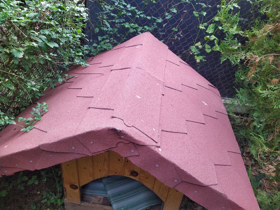 Нова кучешка къщичка