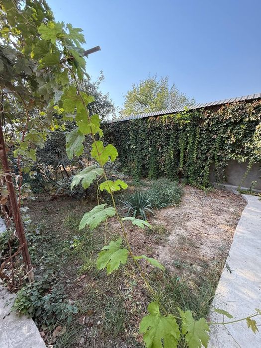 Продаётся земельный участок, Ульяна кафе, Гречиский , Феруза, ТТЗ