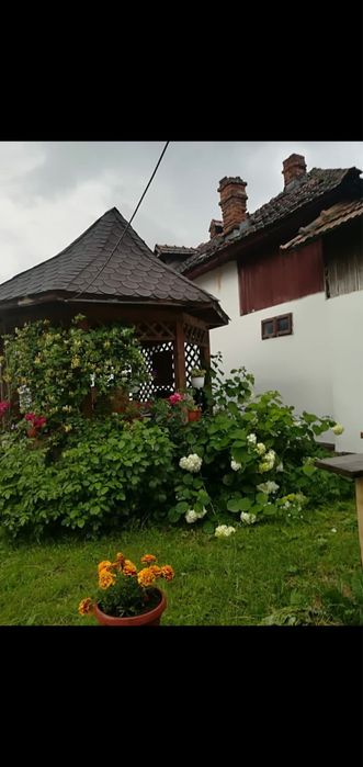 REVELION-2026 Rucar-Arges - Vila NICOLETA