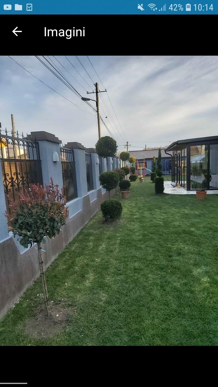 Vă oferim o gama foarte mare de plante ornamentale gazon rulou etc
