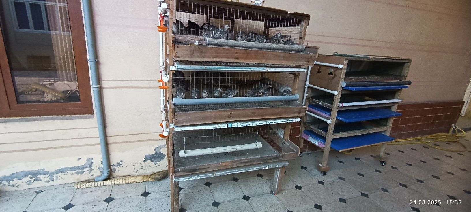 Bedana va jojalarga kataglar sotiladi
