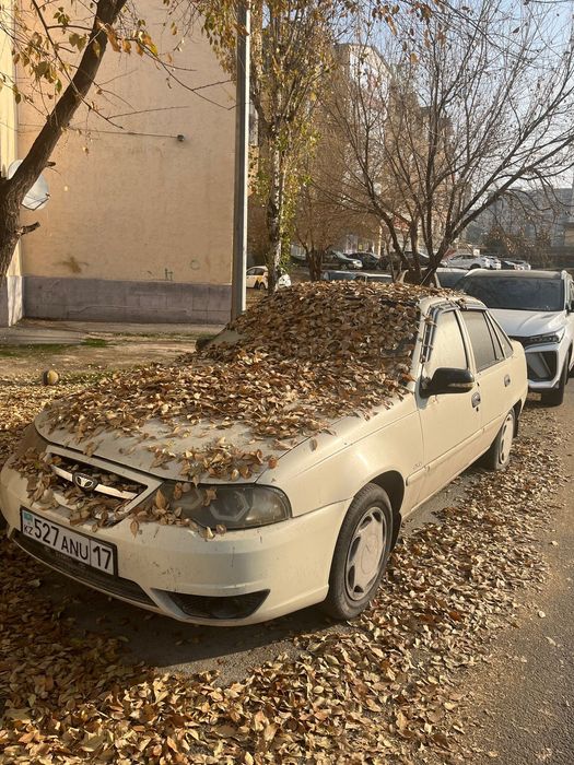 Нексия  2013 люкс