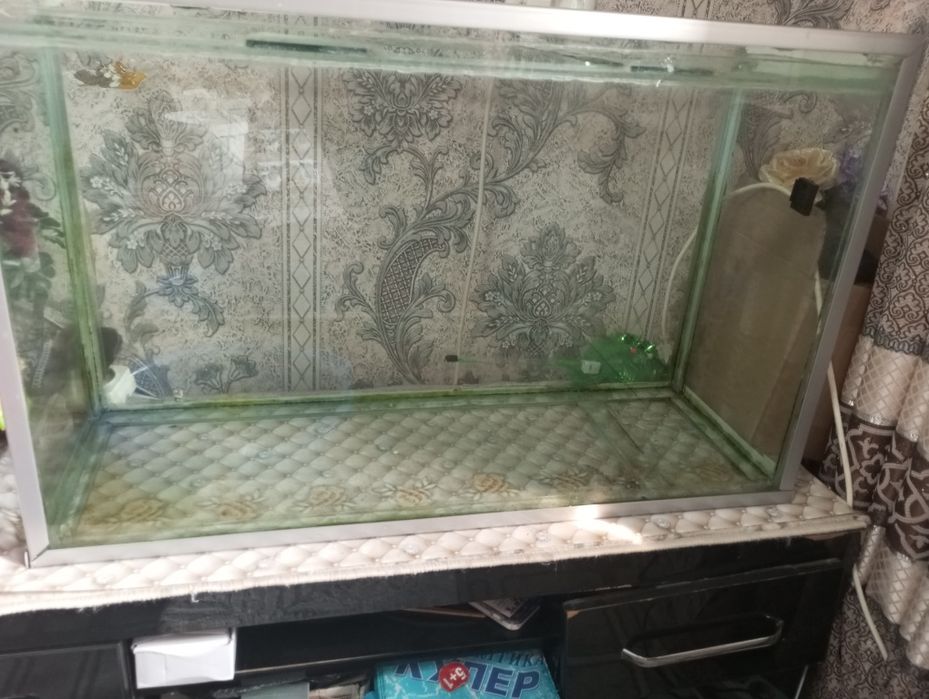 аквариум сотилади