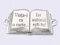 Meditații limba și literatura română