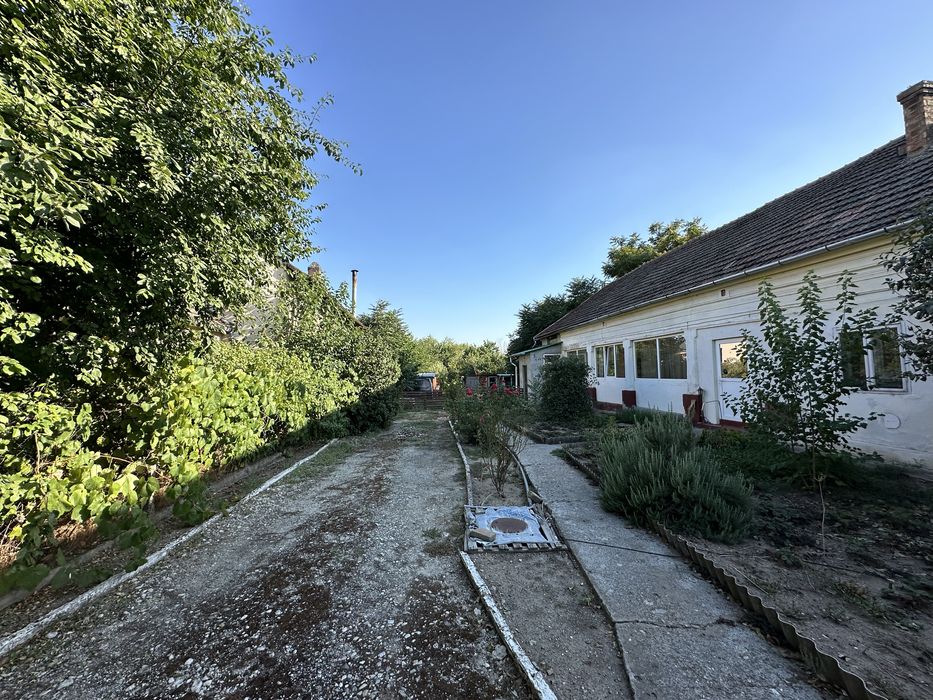 Casa cu 1300mp teren la soseaua principala in Becicherecu Mic