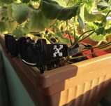 Ochelari de soare Off White
