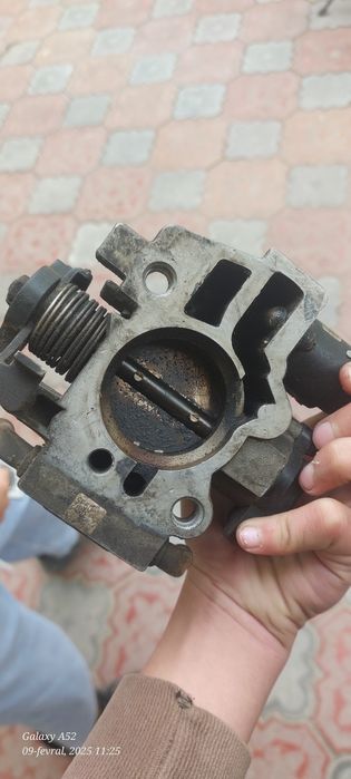 Zaslonka lada samaraniki