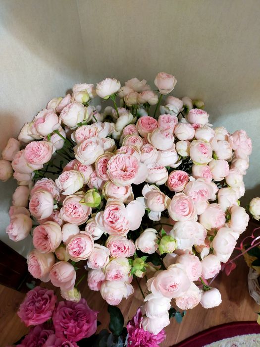 пионовидные розы