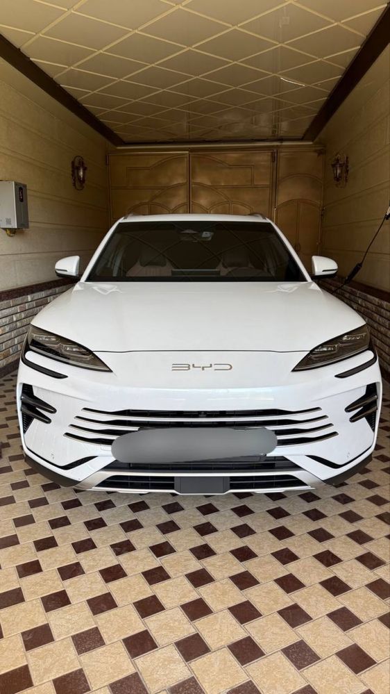 byd champion gibrit full