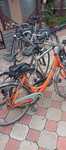 Biciclete Germania