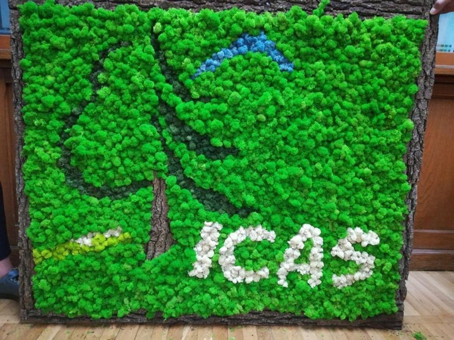 Perete/tablou natural licheni