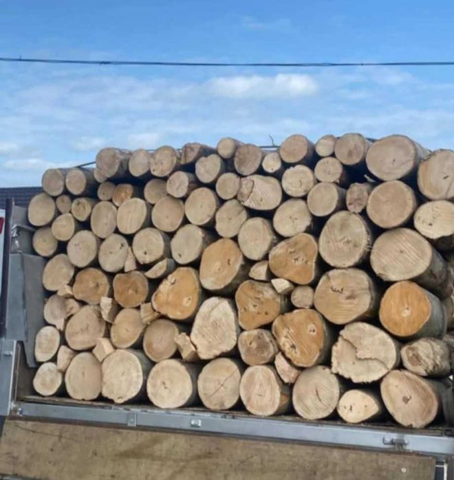 Lemne de foc esenta tare STEJAR, FAG, SALCAM