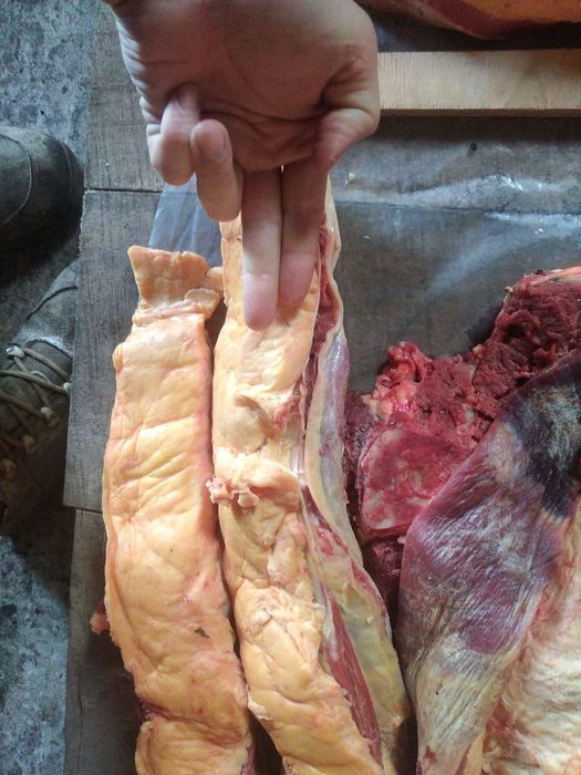 Продам согым 6лет кабыла