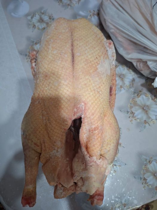 Гуси домашние свежие