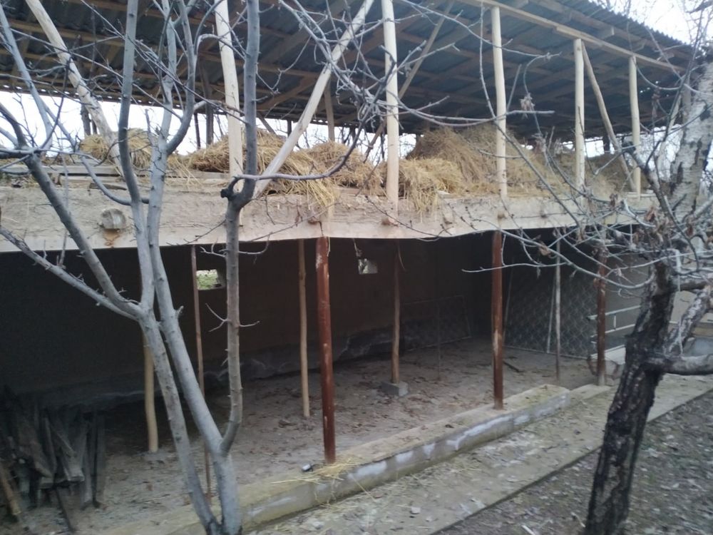 Срочна продается дача с готовой фермой 10 соток